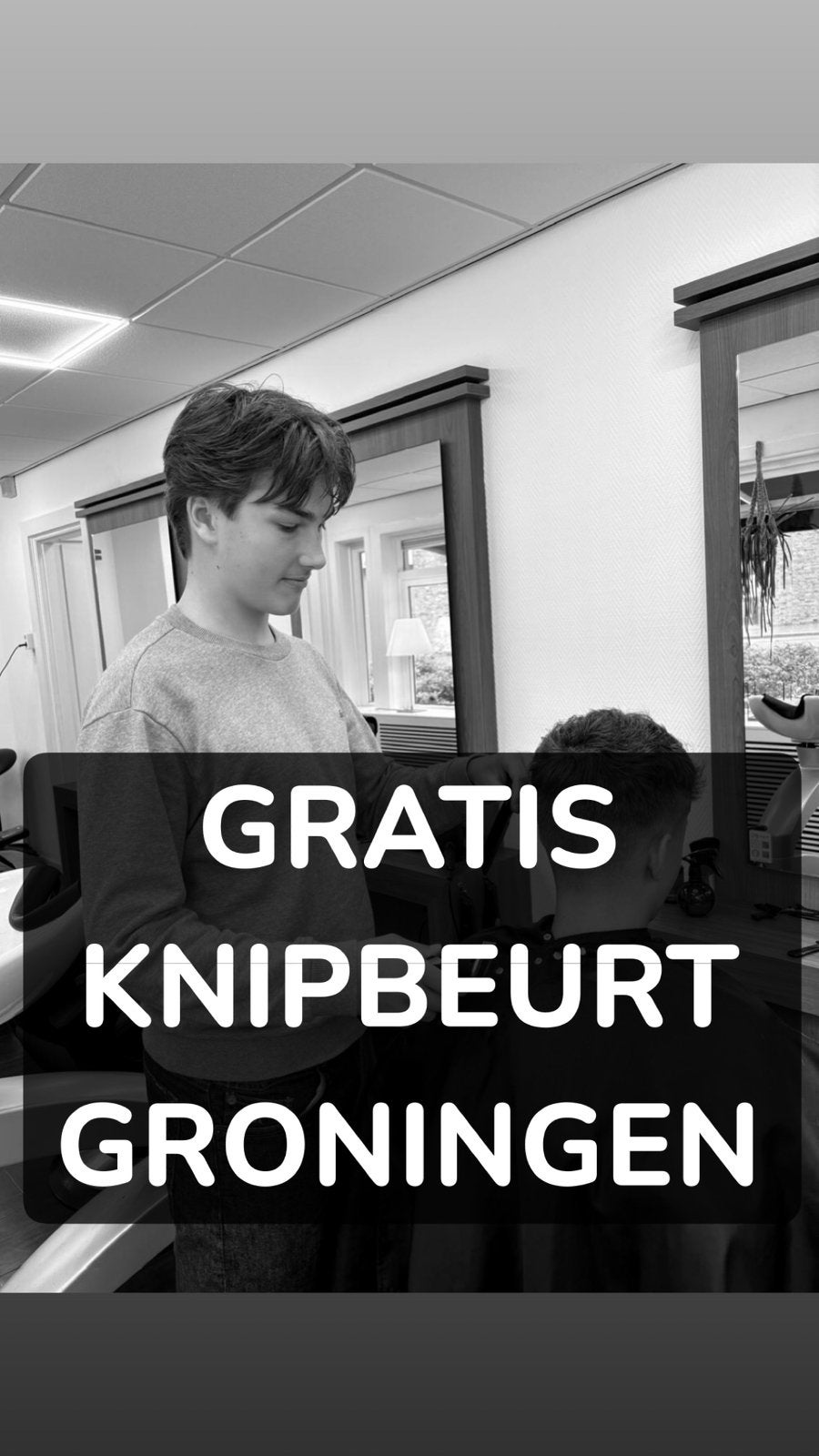 Gratis knipbeurt Groningen westerhaven., Huizen en Kamers