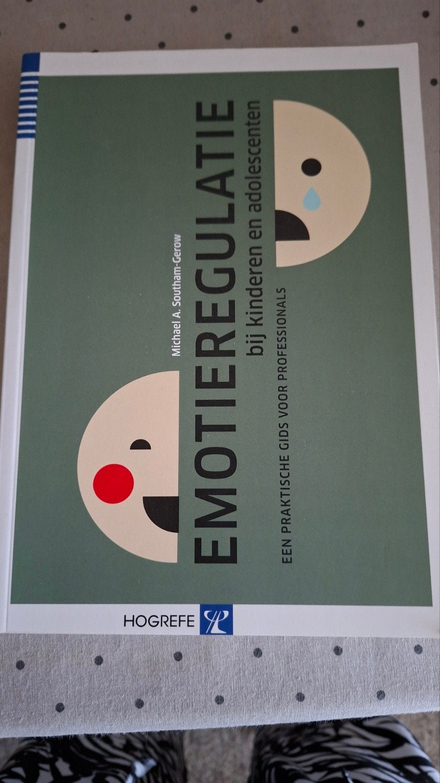 Emotieregulatie bij kinderen en adolescenten, Michael A. Southam-Gerow, Ophalen of Verzenden, Ontwikkelingspsychologie, Zo goed als nieuw