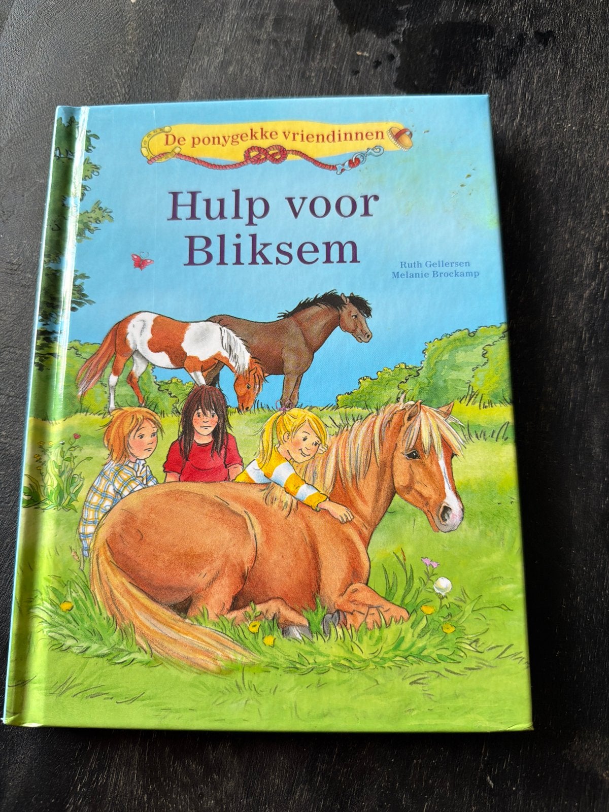 De ponygekke vriendinnen: Hulp voor Bliksem, Ophalen, Gelezen, Fictie