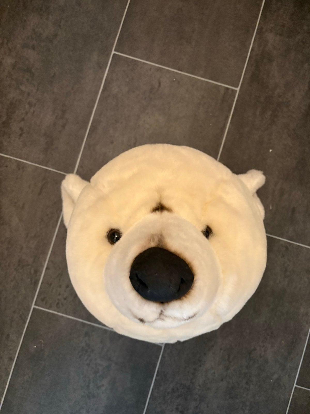 Grote ijsbeer knuffelkop - wanddecoratie, Beer, Ophalen of Verzenden, Zo goed als nieuw, Middelgroot (20 tot 80 cm)