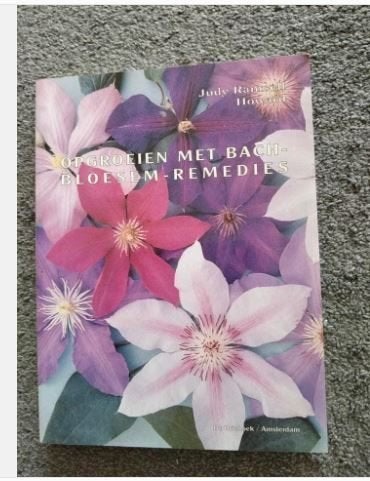 Opvoeden met Bach Bloesem Remedies - Judy Ramsell-Howard, Zwangerschap en Bevalling, Ophalen of Verzenden, Zo goed als nieuw, Judy Ramsell-Howard