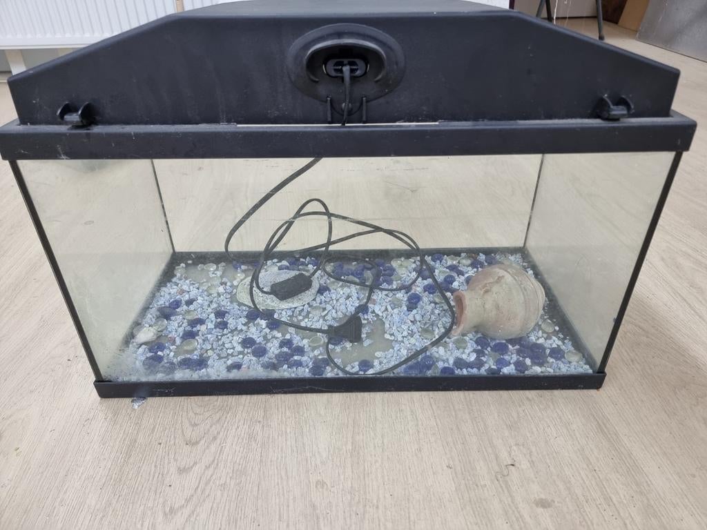 Aquarium, Ophalen