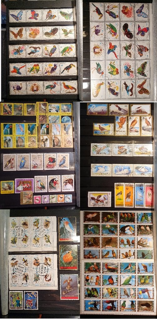 1566 - STOCKBOEK BORDEVOL VOGELS, Verzenden, Dier of Natuur