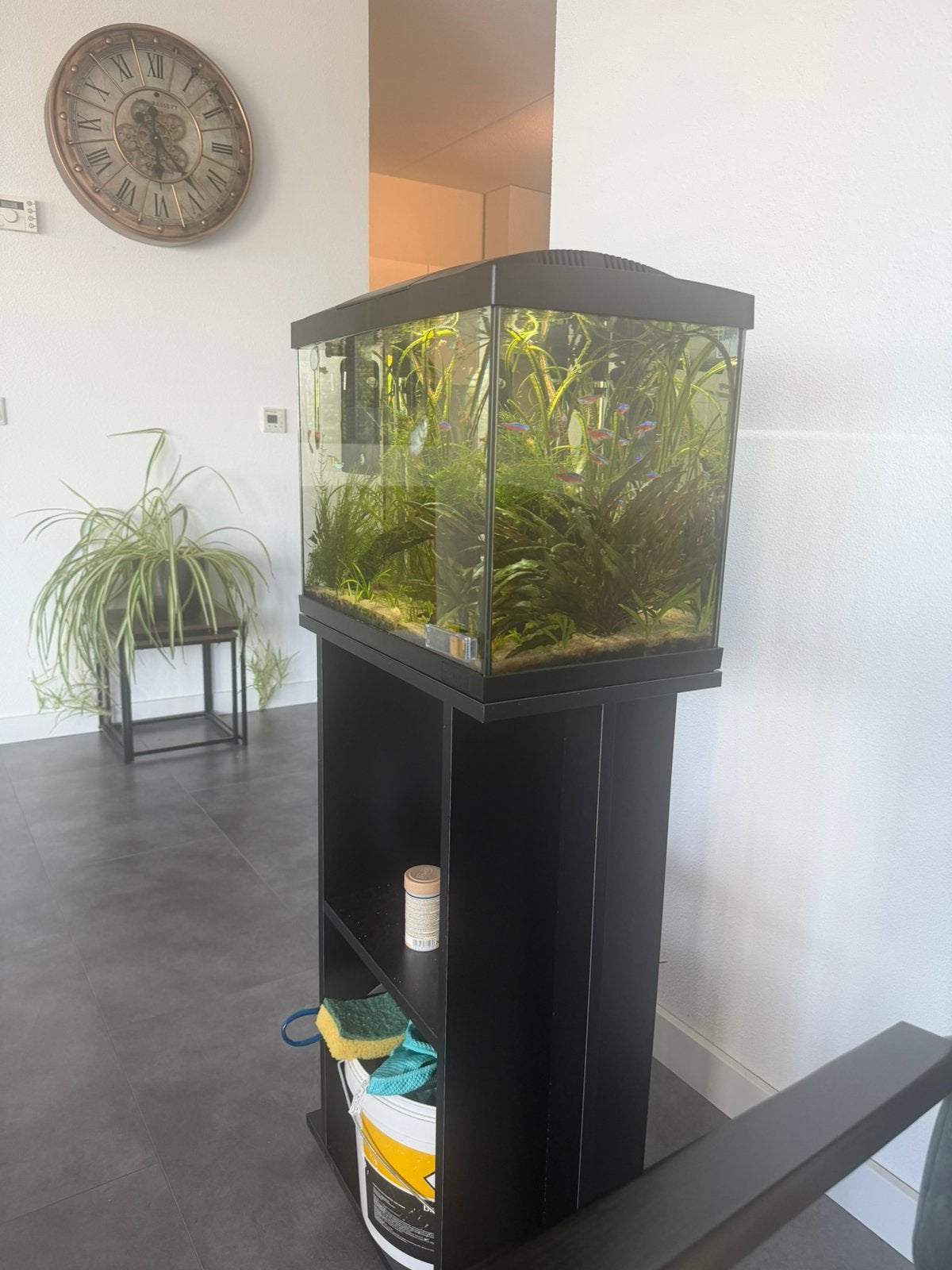 Prachtige superfish aquarium met orgineel onderstel, Dieren en Toebehoren, Vissen | Aquaria en Toebehoren, Ophalen, Gebruikt, Gevuld zoetwateraquarium