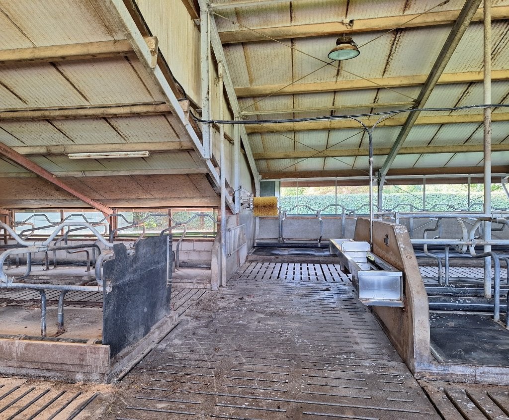 R-boxen met golfschoftboom 40 stuks/ stalinrichtig/ ligboxen, Dieren en Toebehoren, Stalling