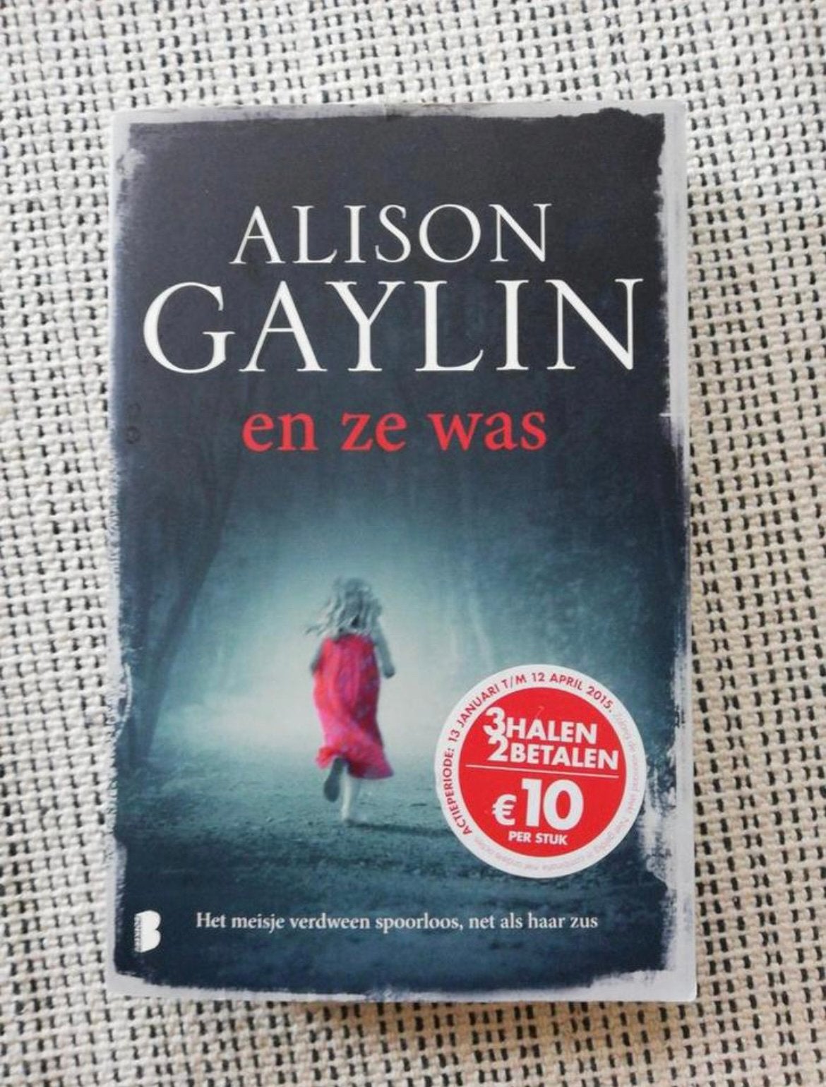 Alison Gaylin - En ze was, Gelezen, Ophalen of Verzenden, Nederland, Alison Gaylin