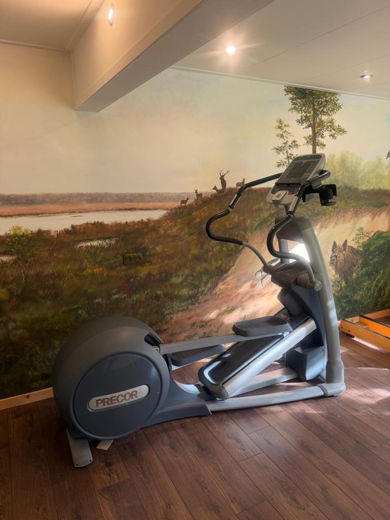 Crosstrainer, Ophalen, Zo goed als nieuw, Crosstrainer