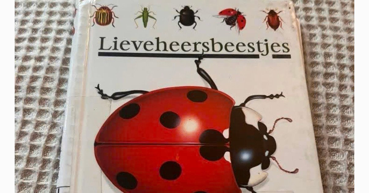 Lieveheersbeestjes, Ophalen of Verzenden, Zo goed als nieuw, Natuur algemeen