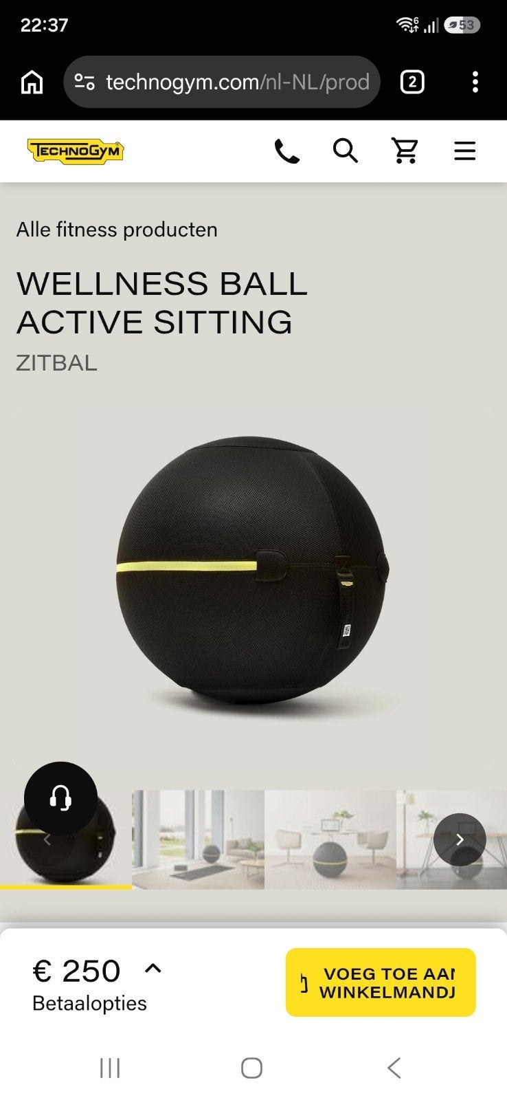 Technogym Wellness Ball Active Sitting Zitbal, Ophalen, Gebruikt