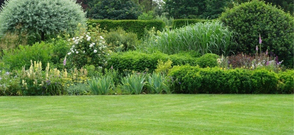 tuinman zoekt werk, Ophalen, Nieuw, 20 m² of meer