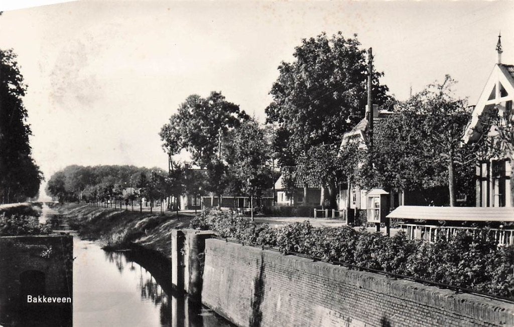 703-035-015 Bakkeveen Vakantiecentrum t Hout, Verzenden, Voor 1920, Friesland