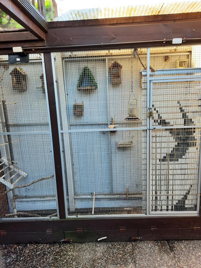 Kanaries met kooi compleet., Ophalen, Vogelkooi
