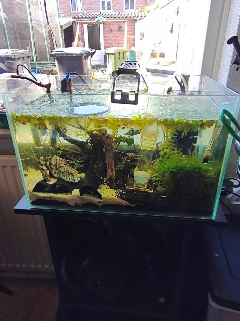 Aquarium 20liter, Ophalen, Zo goed als nieuw, Gevuld zoetwateraquarium