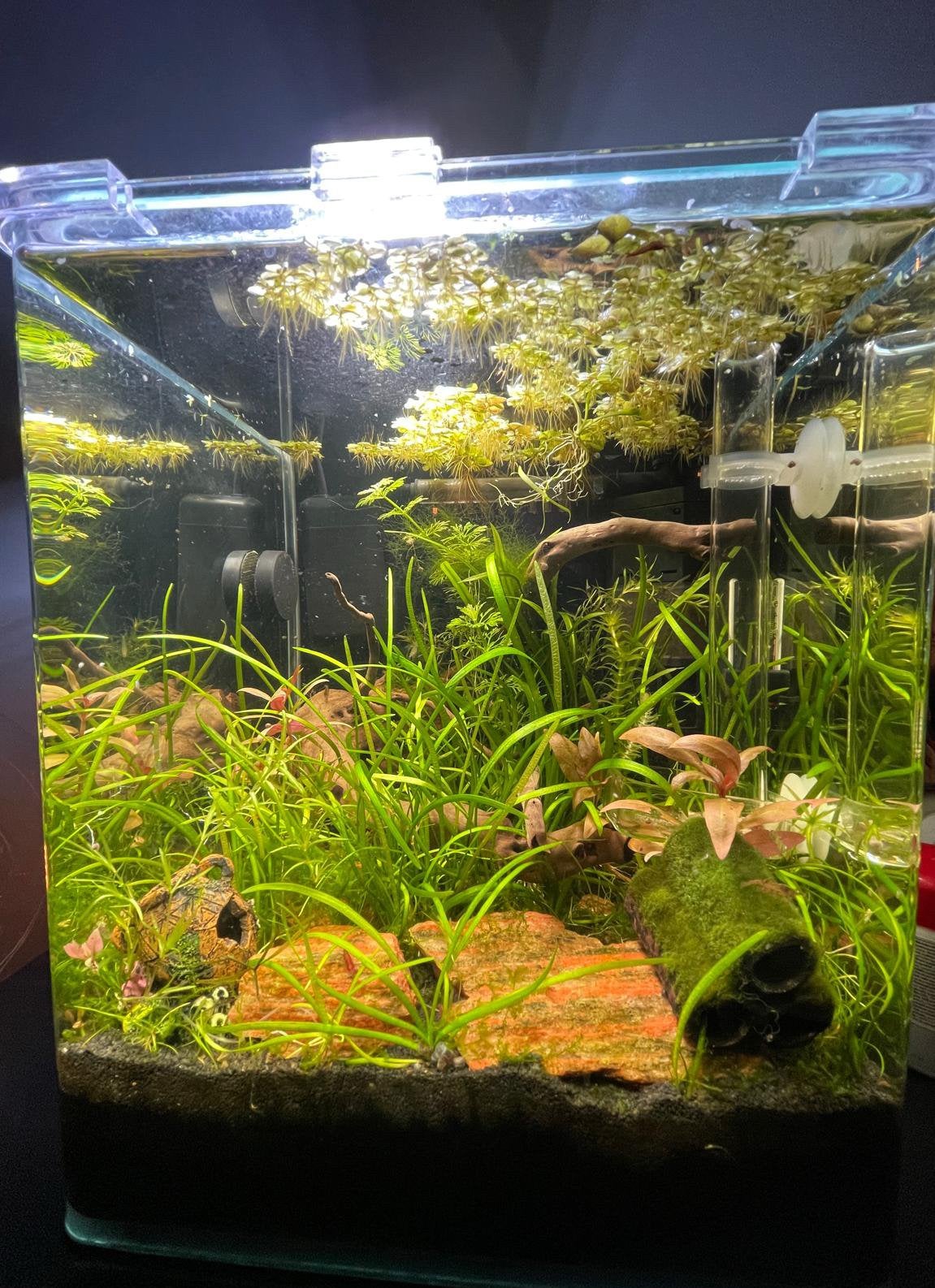 Dennerle Nano cube led style 20 liter set, Ophalen, Zo goed als nieuw, Leeg aquarium
