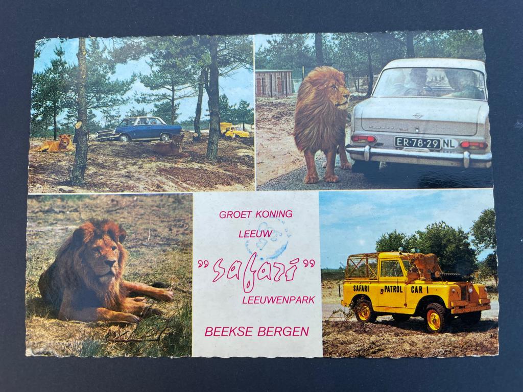 ak . Beekse Bergen, groet koning leeuw, Safari leeuwenpark., Verzamelen, Verzenden, 1960 tot 1980, Noord-Brabant