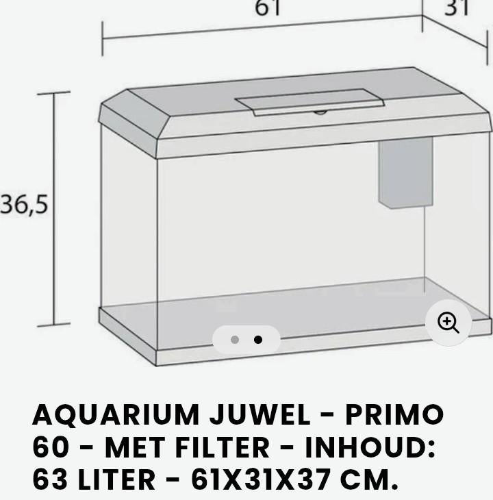 GEZOCHT aquarium juweel primo 60, Vis