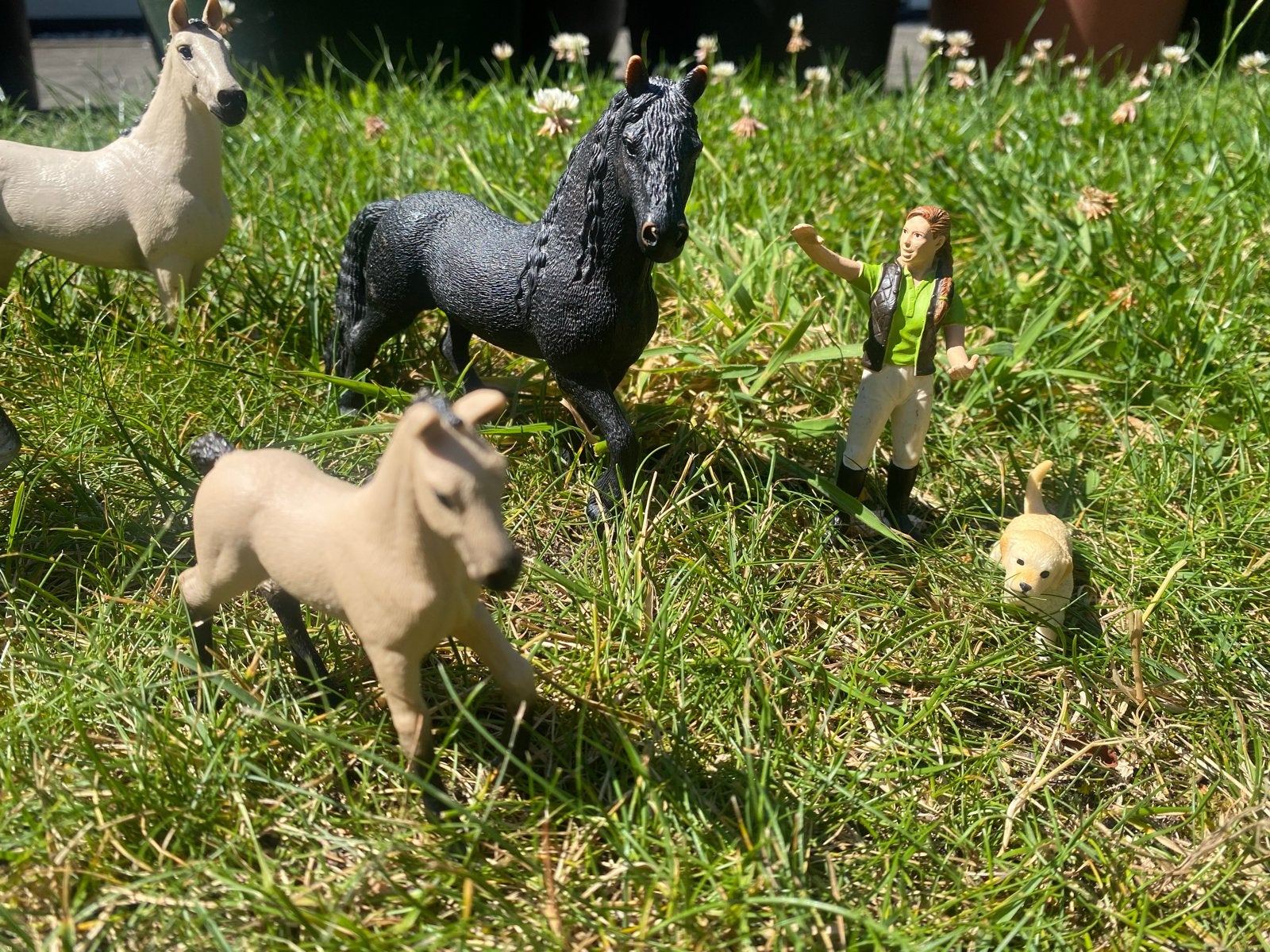 Schleich paarden en figuren set, Ophalen of Verzenden, Gebruikt