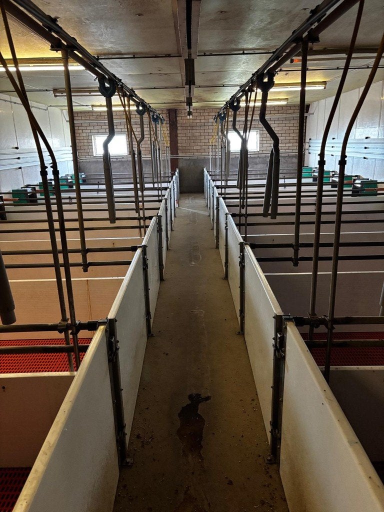 Complete stalinrichting varkens, Ophalen of Verzenden, Veehouderij, Overige typen