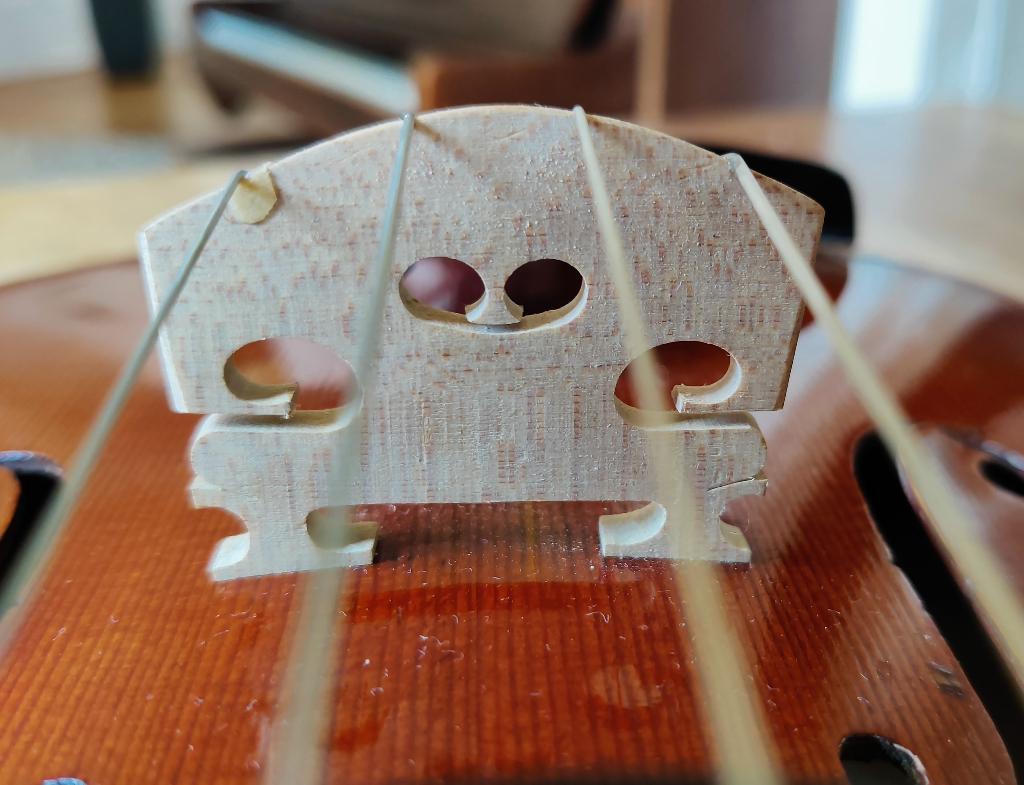 Altviool, Muziek en Instrumenten, Strijkinstrumenten | Violen en Altviolen, Gebruikt, Overige formaten, Met koffer, Ophalen