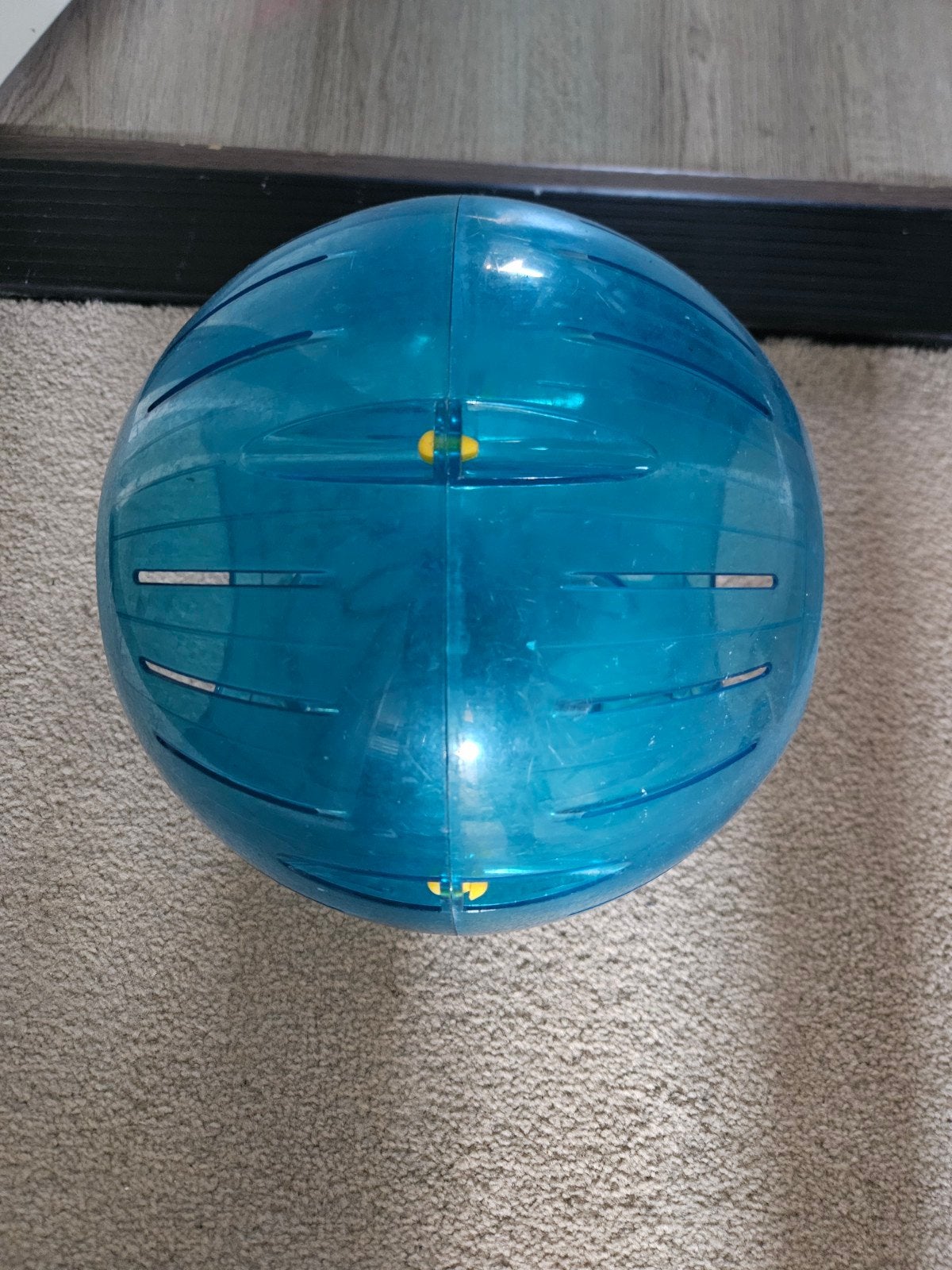 Loopbal hamster 20cm, Dieren en Toebehoren, Verzenden