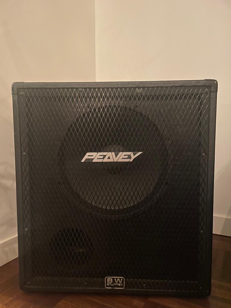 Peavey 15” bass speaker cabinet, Muziek en Instrumenten, Ophalen, Nieuw, Basgitaar, 50 tot 100 watt