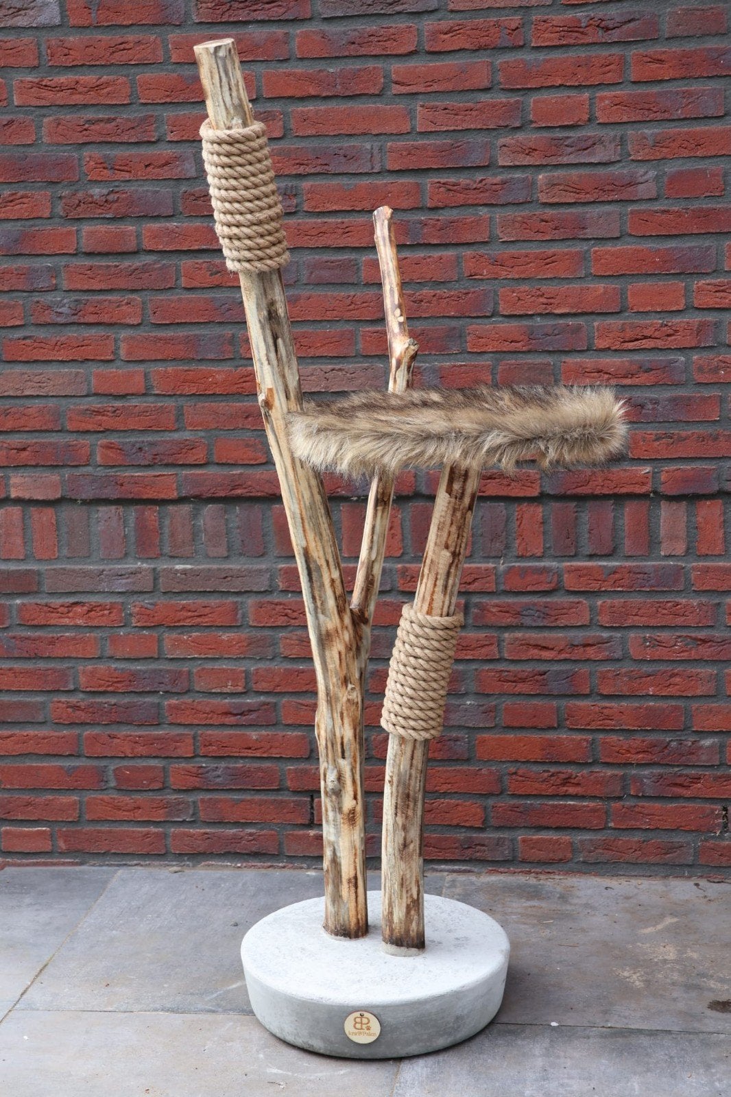 Mooie kleine echte stammen krappaal, Ophalen of Verzenden, Nieuw, Krabpaal