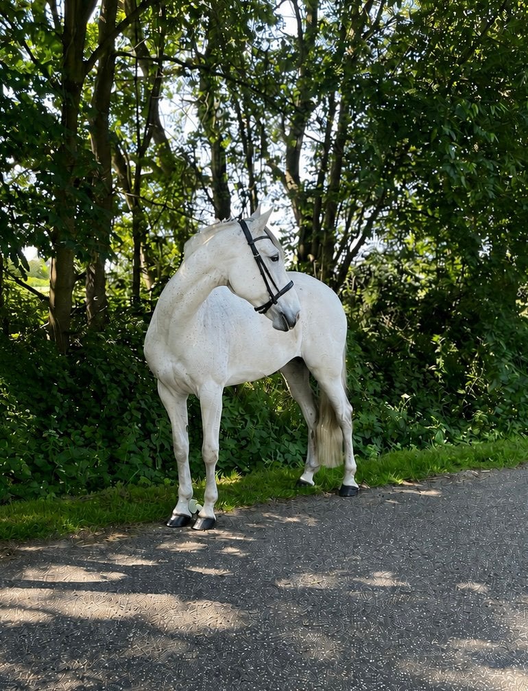 Lieve E pony zoekt nieuw plekje, Dieren en Toebehoren, Pony's, Merrie, B, Gechipt, 11 jaar of ouder