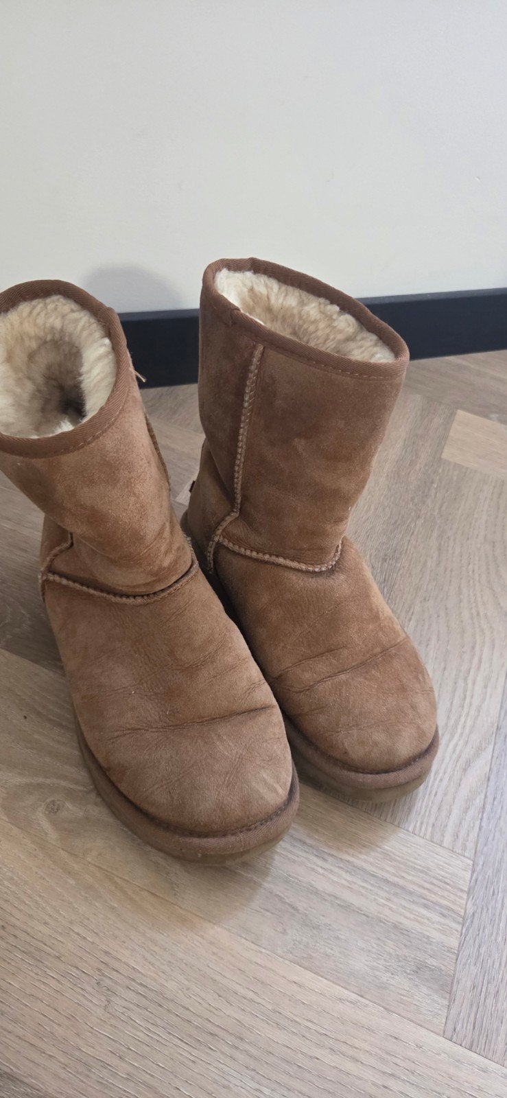 UGG Classic Mini Laarzen - Bruin maat 38, UGG, Bruin, Lage of Enkellaarzen, Ophalen of Verzenden