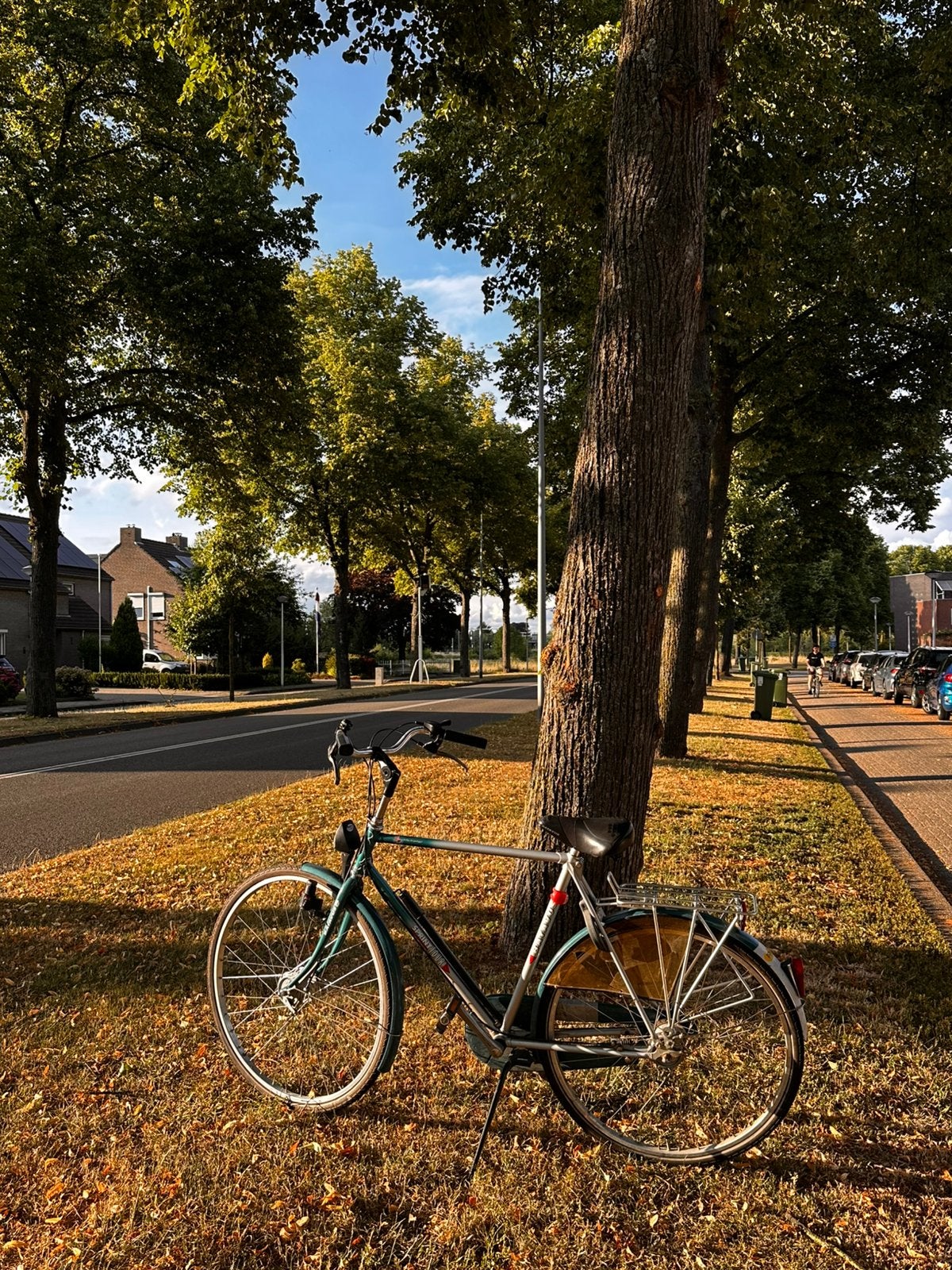Fietsen, Ophalen, Zo goed als nieuw, Overige merken