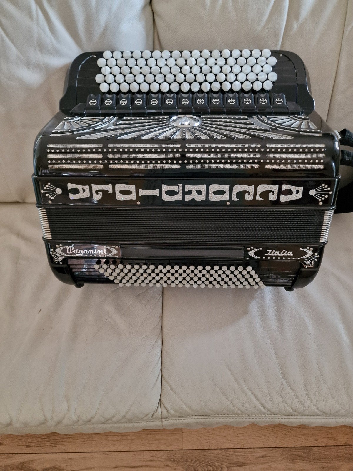 Accordiola 120 bas 5 korig met cassotto, Muziek en Instrumenten, Accordeons, Ophalen, Gebruikt, Accordiola, Met koffer