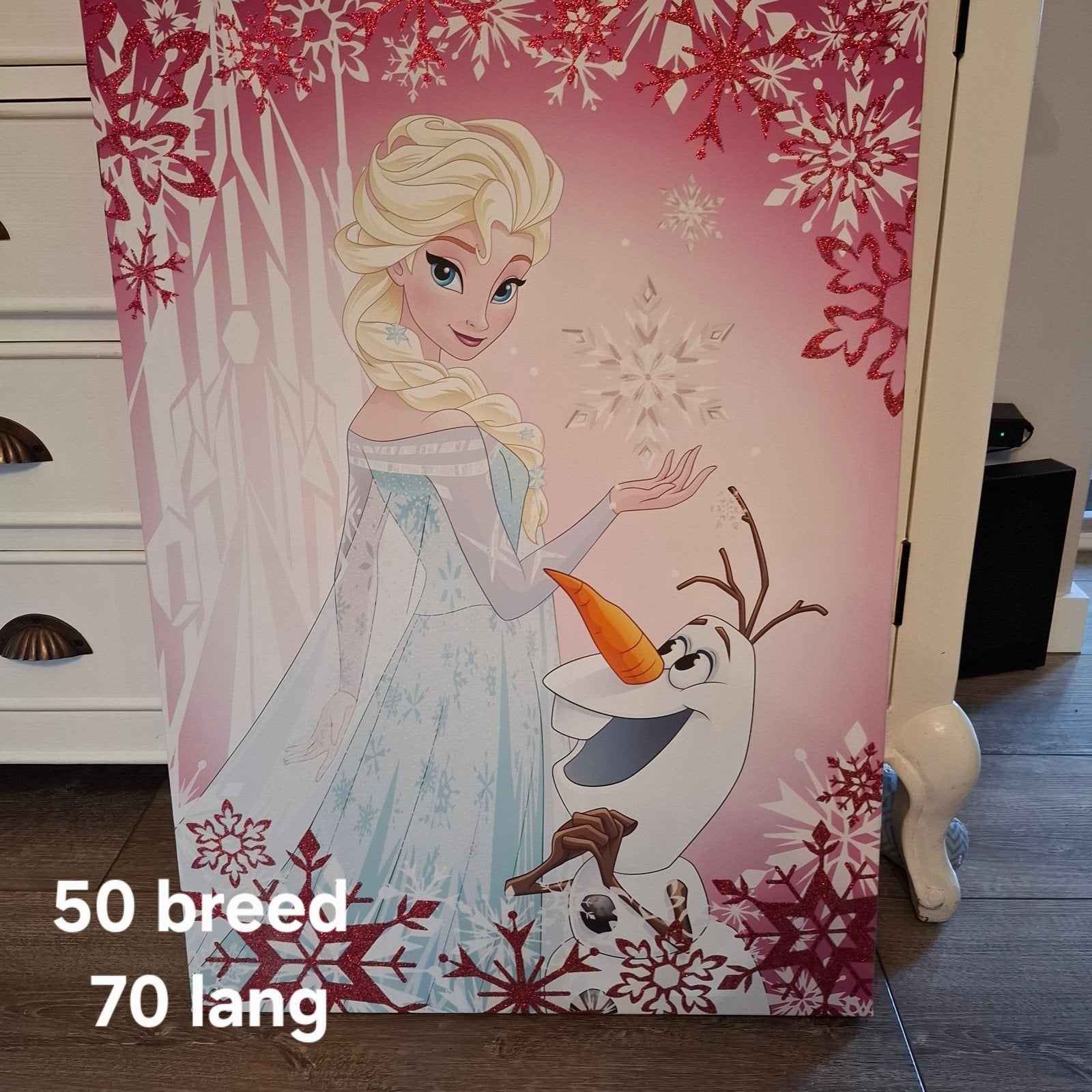 Frozen Elsa en Olaf wanddecoratie (50x70 cm), Ophalen, Gebruikt, Wanddecoratie, Meerkleurig