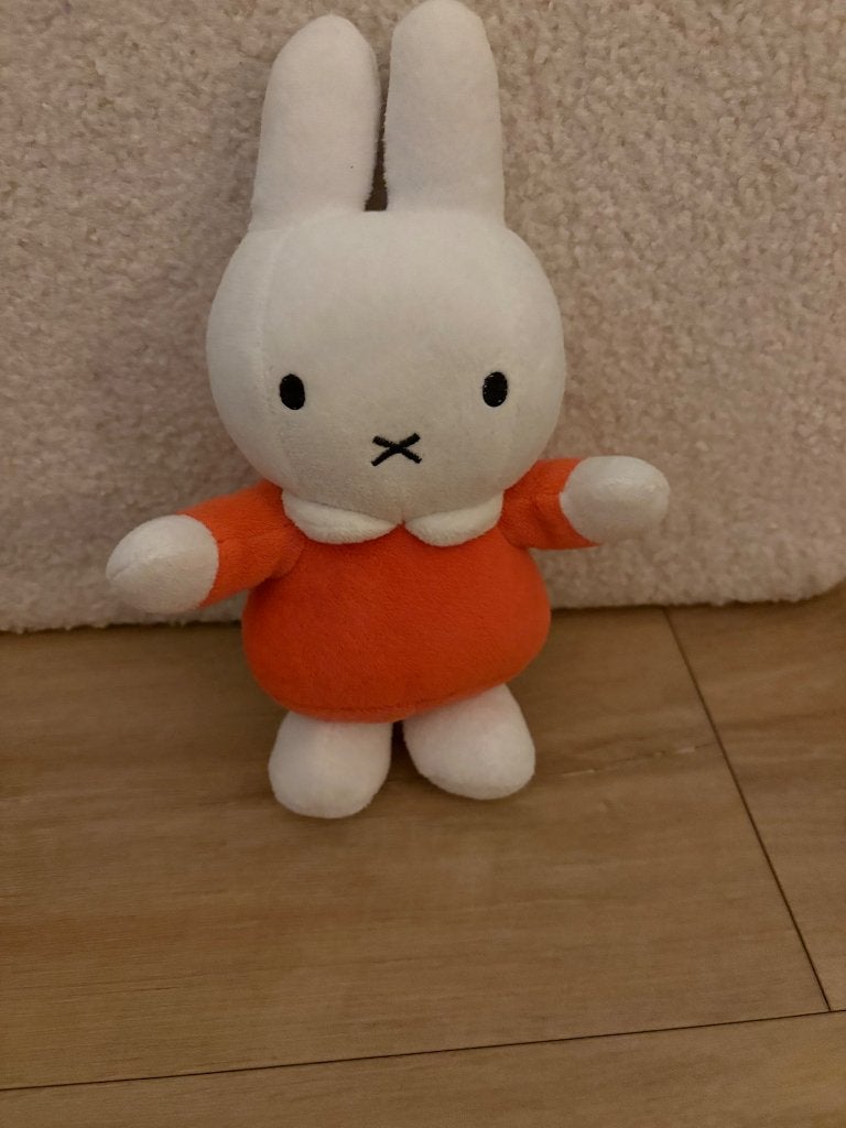 Nijntje knuffel, Oranje, Overige merken, Konijn, Nijntje