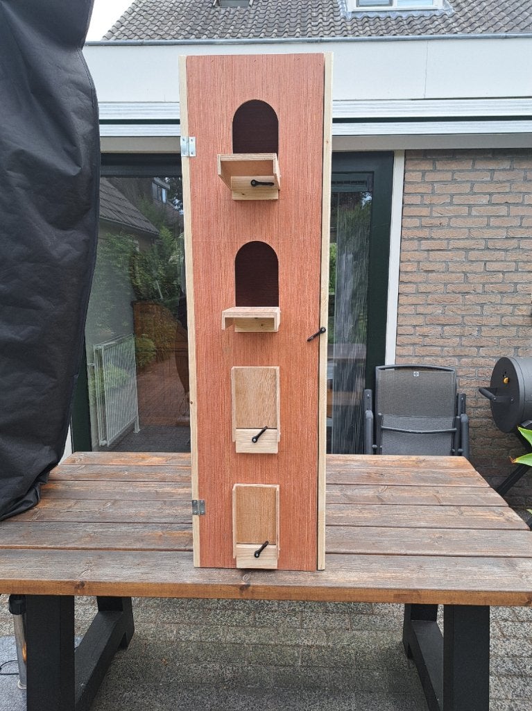 Motivatiekast voor jonge duiven, Meerdere dieren, Postduif