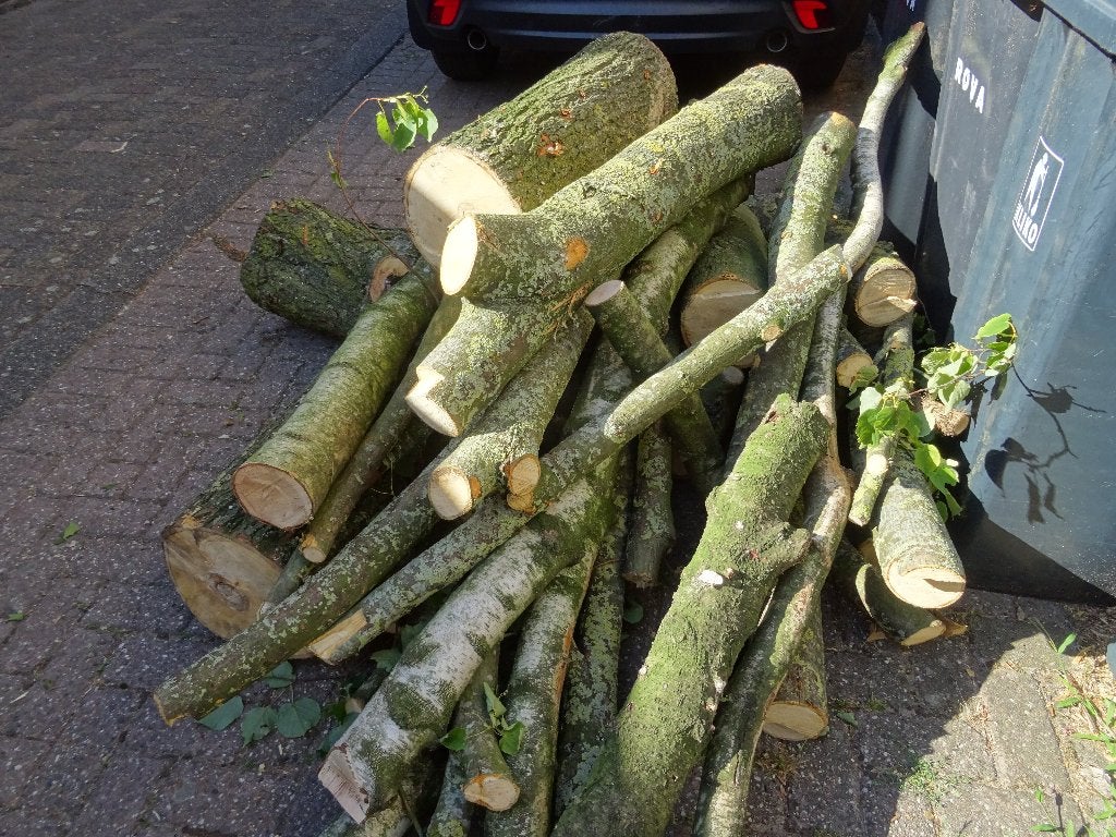 Partij kachelhout haardhout lindeboom, Tuin en Terras, Haardhout, Minder dan 3 m³, Ophalen, Overige houtsoorten, Blokken