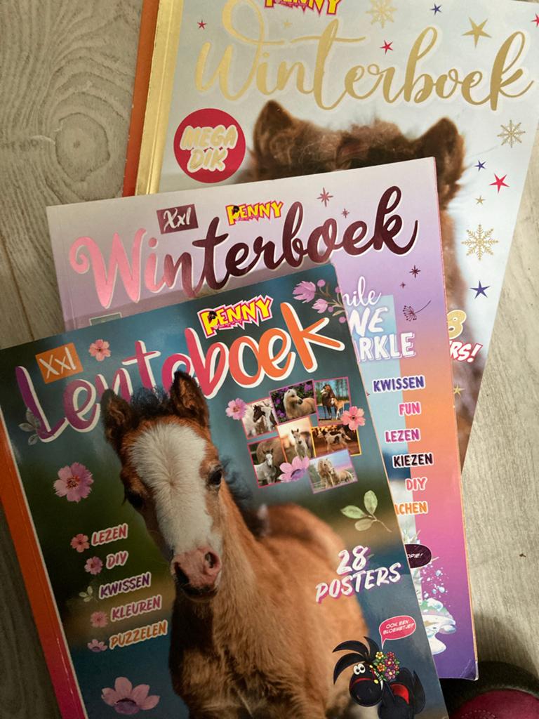 60 Penny tijdschriften en boeken, Boeken, Ophalen of Verzenden, Gelezen, Overige typen