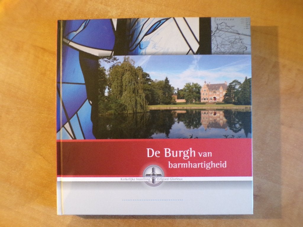 geschiedenis huize De Burgh zusters barmhartigheid Eindhoven, Boeken, Ophalen of Verzenden, 20e eeuw of later, Zo goed als nieuw