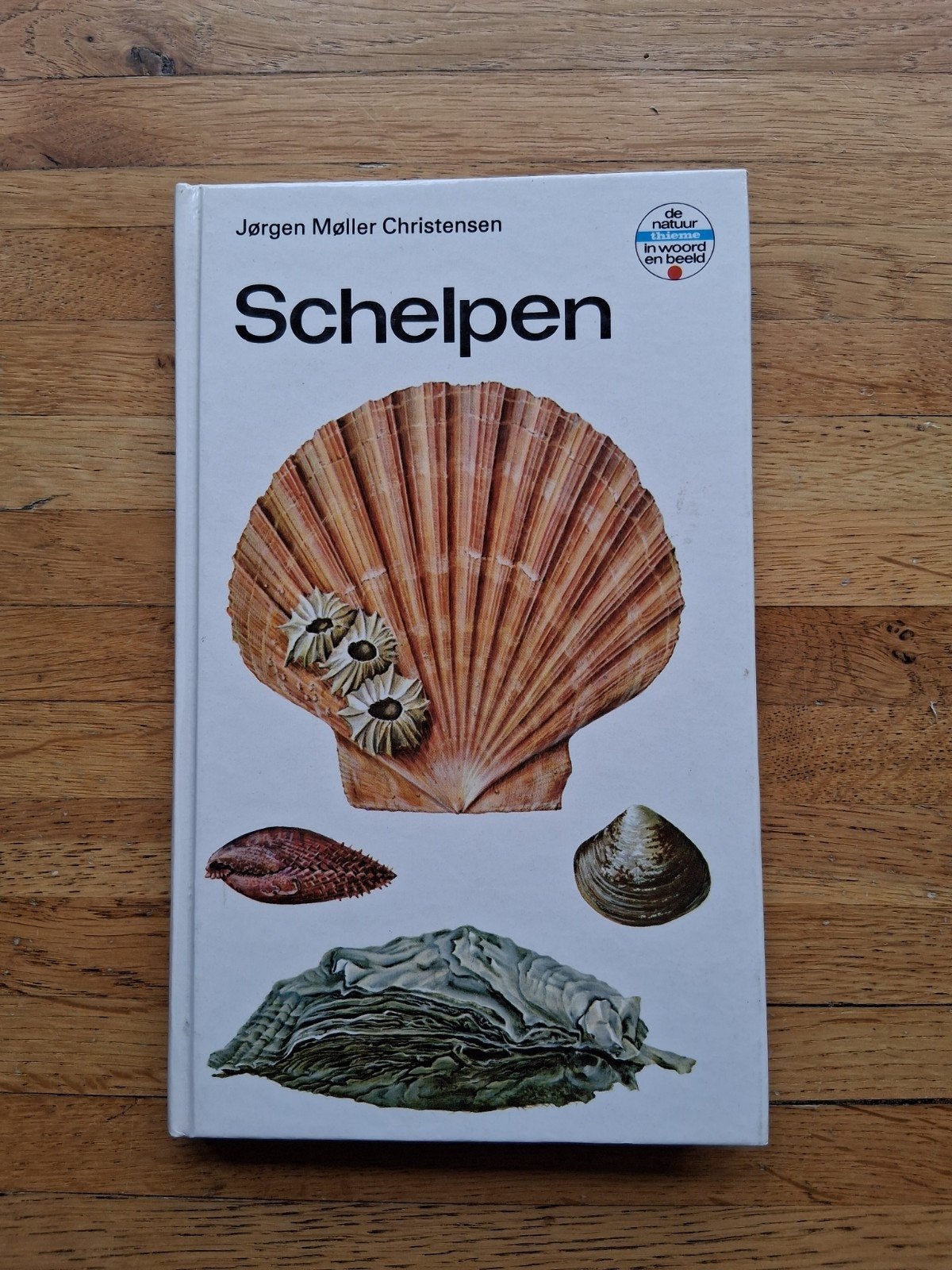 schelpen bevat 145 soorten tweekleurige weekdieren fotoboek, Boeken, Ophalen of Verzenden, Zo goed als nieuw