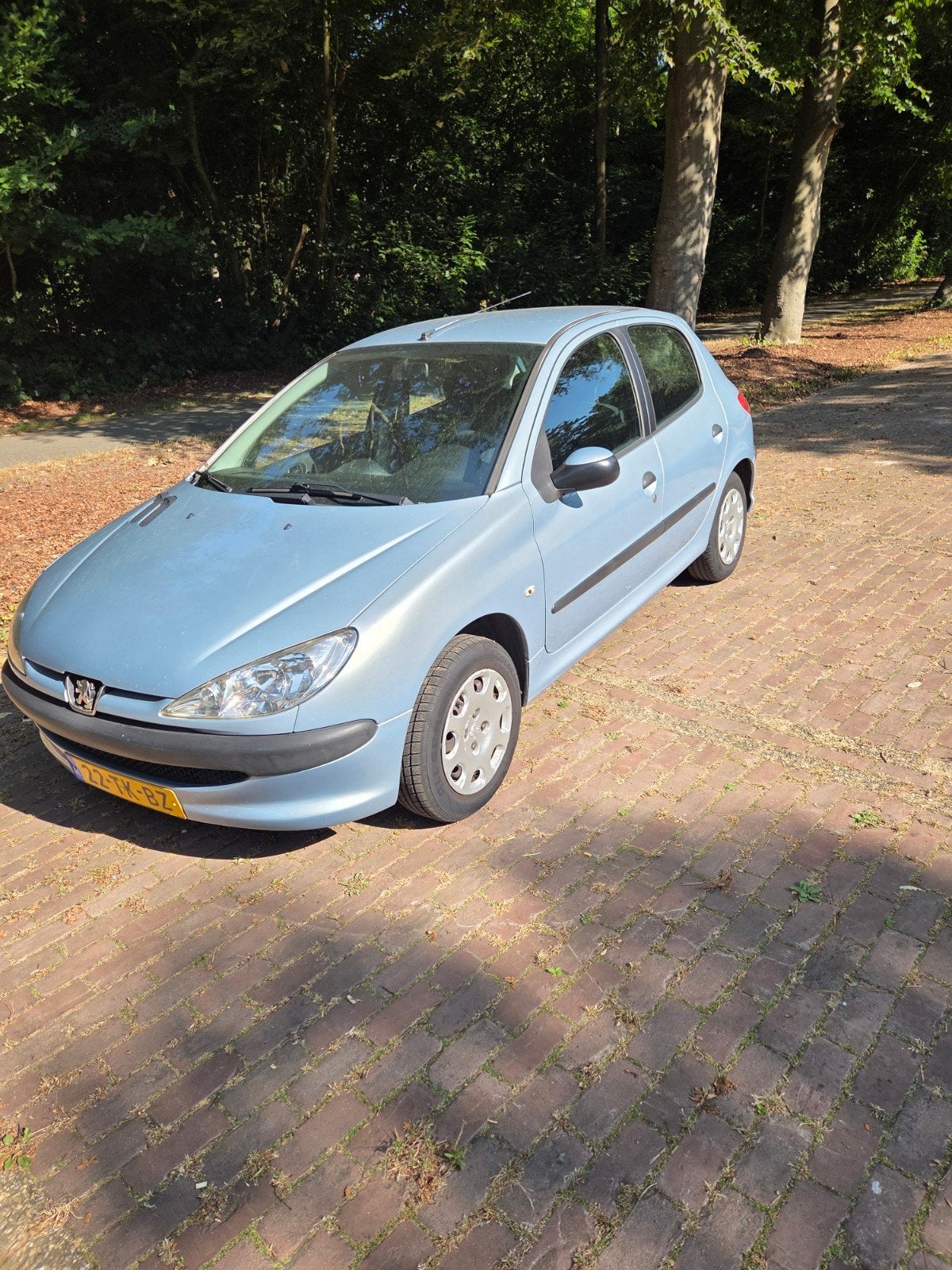 Peugeot 206 1.4 5D 2006 Grijs, Auto's, Peugeot, Particulier, Benzine, C, Hatchback, Handgeschakeld, Origineel Nederlands, Zilver of Grijs