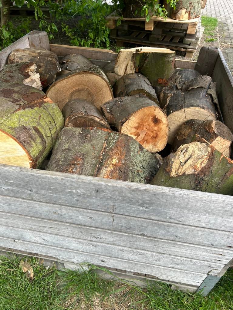 Haardhout essen en plantaan, Minder dan 3 m³, Ophalen