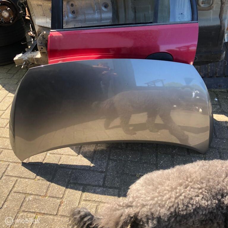 Kia Picanto 2017-2020 Bumper Motorkap Portier IM, Ophalen of Verzenden, Kia, Gebruikt, Kia