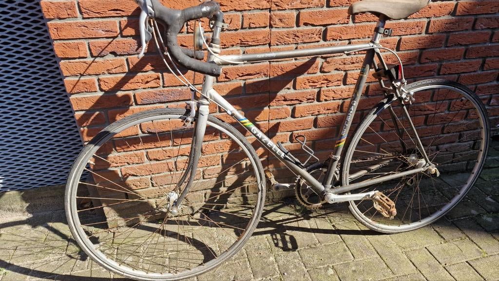 Gazelle Race Trophy , schuurvonds, Ophalen, 28 inch, Gebruikt, Heren