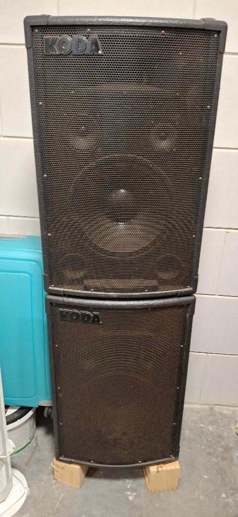 Boxen met versterker (PA), Audio, Tv en Foto, Versterkers en Receivers, Gebruikt, 120 watt of meer, Stereo, Ophalen