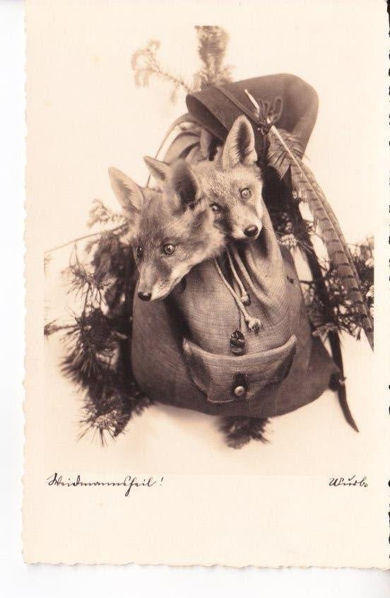 Mooie Jagerstas met 2 Vosjes.  09-07, Ophalen of Verzenden, 1920 tot 1940, Ongelopen, Overige thema's