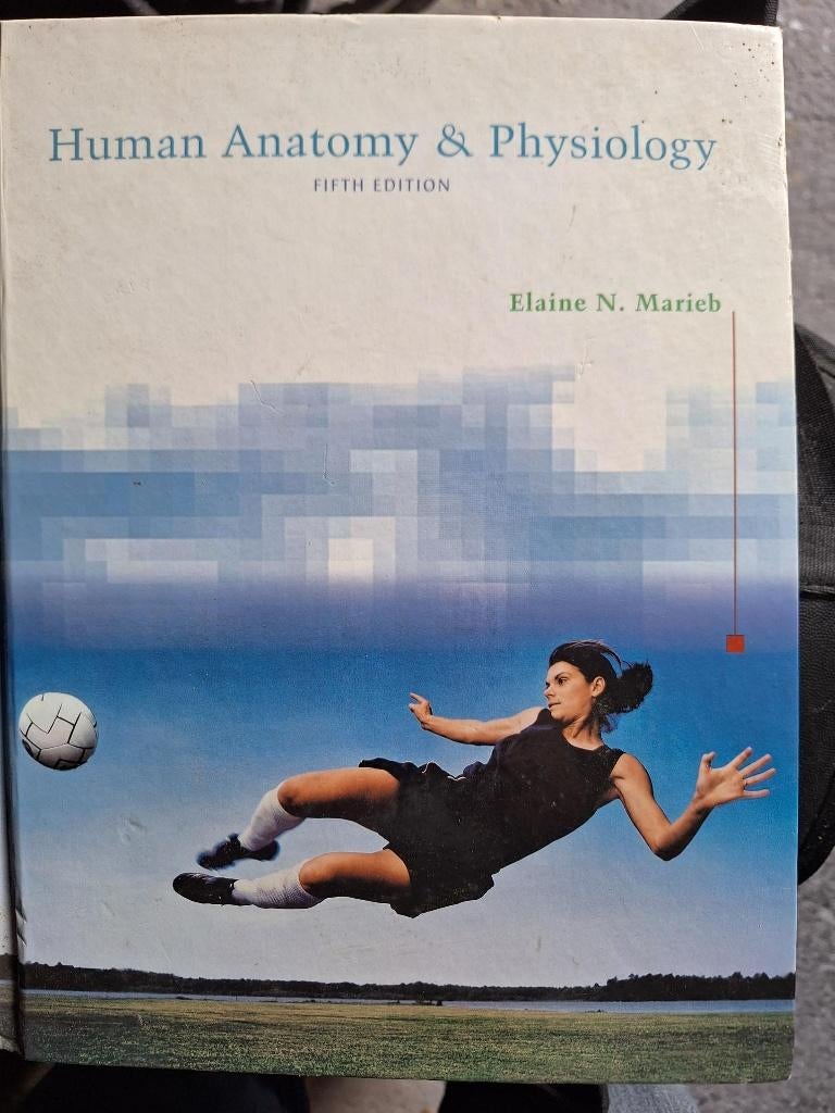 studieboek anatomie physiologie, Ophalen of Verzenden, Beta, Zo goed als nieuw, HBO