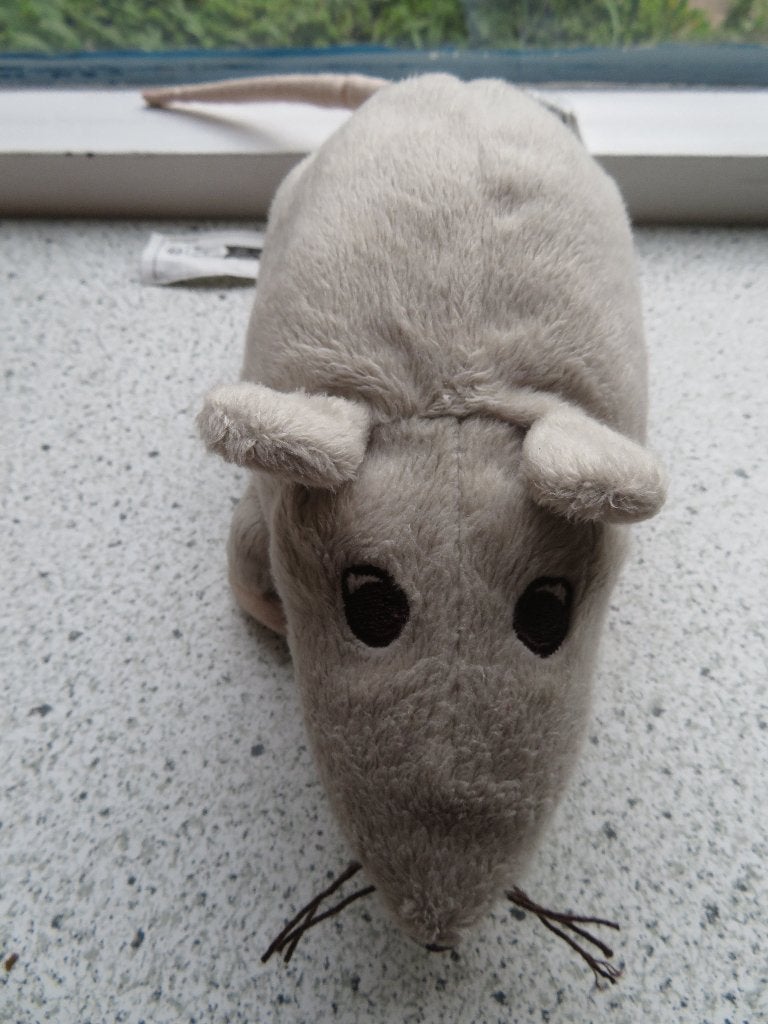 Dikke Rat van IKEA Gosig Ratta grijs grijze muis velours, Muis, IKEA, Nieuw, Ophalen of Verzenden