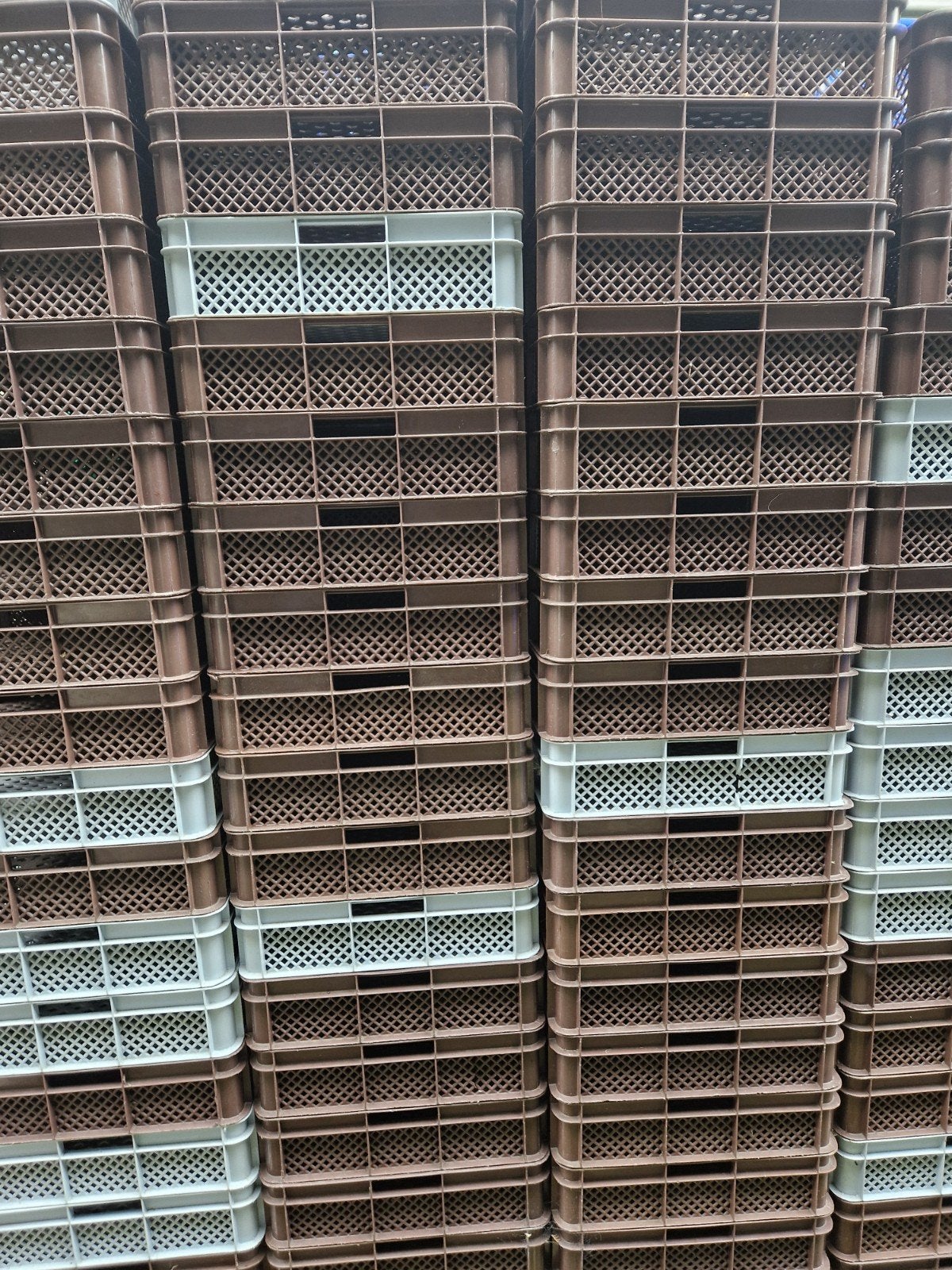 Diverse stapelbare kratten voor opslag of transport, Ophalen, Gebruikt, 40 tot 60 cm, 50 tot 75 cm