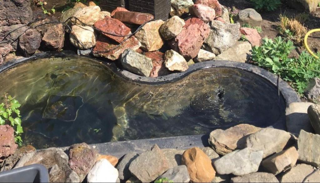 Vijverbak, Tuin en Terras, Ophalen, Gebruikt