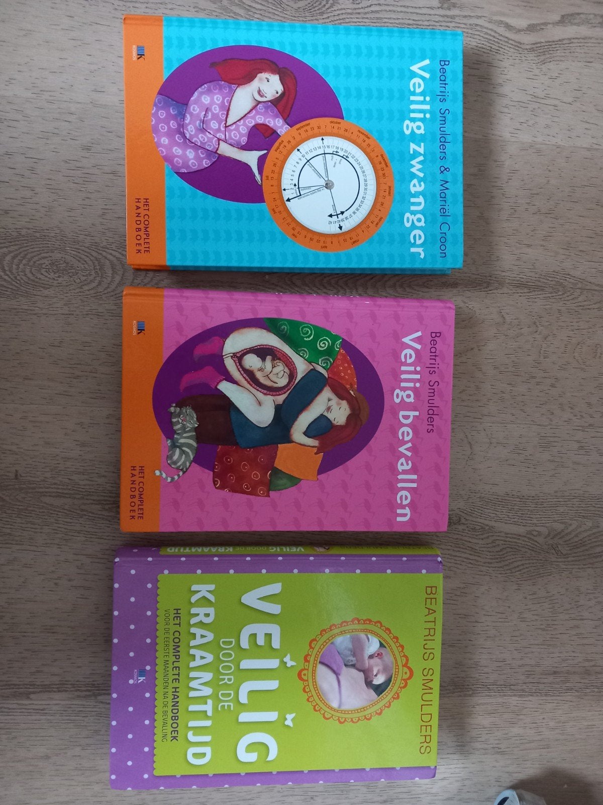 Veilig Zwanger, Veilig bevallen, Veilig door de kraamtijd, Zwangerschap en Bevalling, Beatrijs Smulders & Mariël Kroon, Ophalen of Verzenden