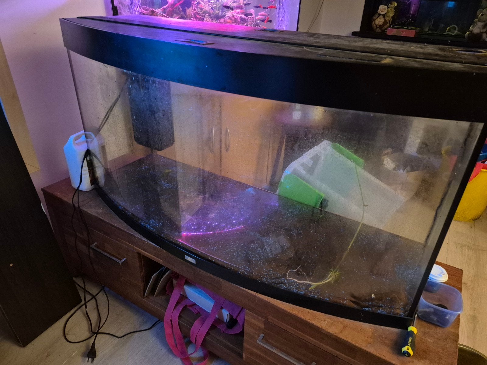 te koop juwel vision 260, Gebruikt, Gevuld zoetwateraquarium, Juwel, Ophalen