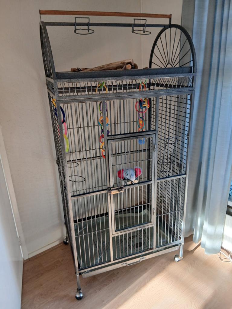 Te koop grote papegaaien kooi, Ophalen, Zo goed als nieuw, Metaal, Vogelkooi